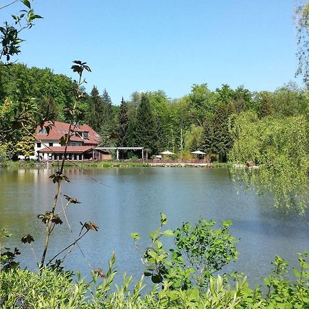 Waldhotel Zur Holzmuhle Eldagsen Bagian luar foto