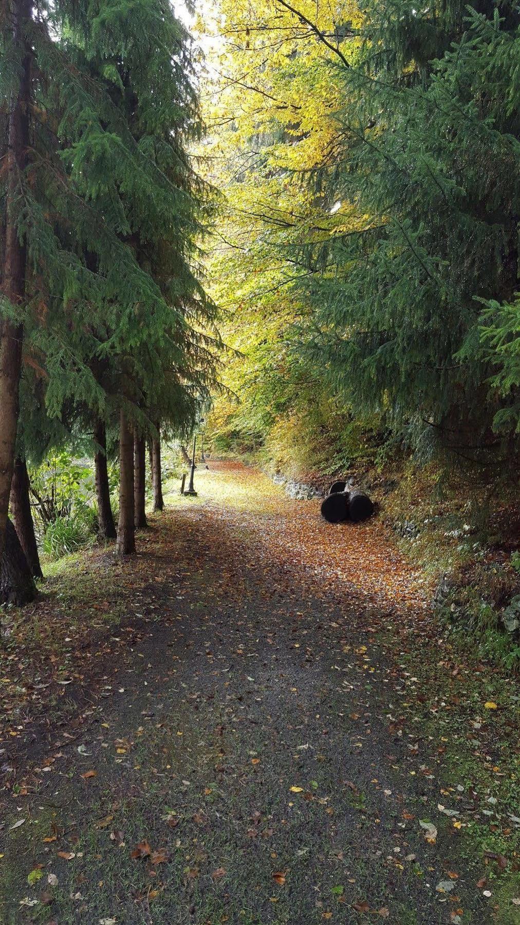 Waldhotel Zur Holzmuhle Eldagsen Bagian luar foto